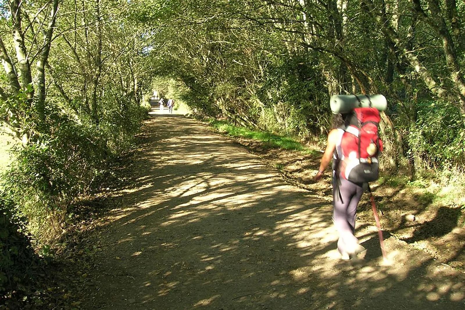 camino de santiago cerca de ferreiros