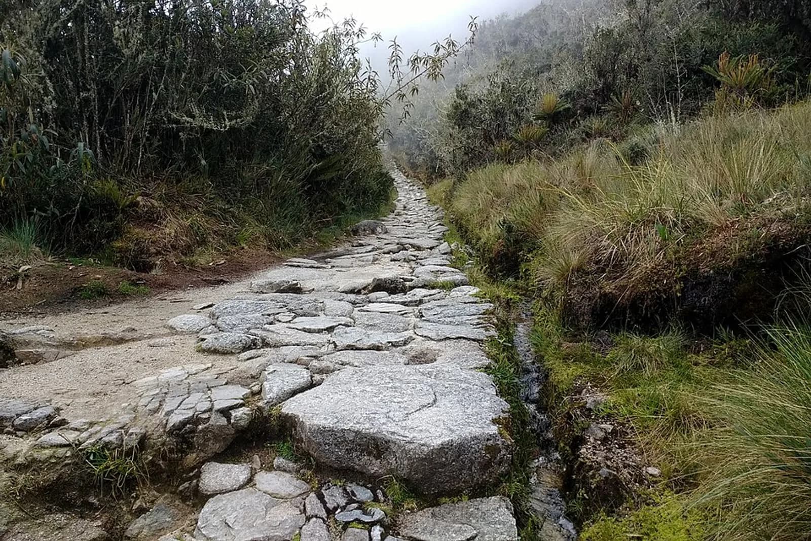 Part of the Inca Trail to Machu Picchu, paved with stones.