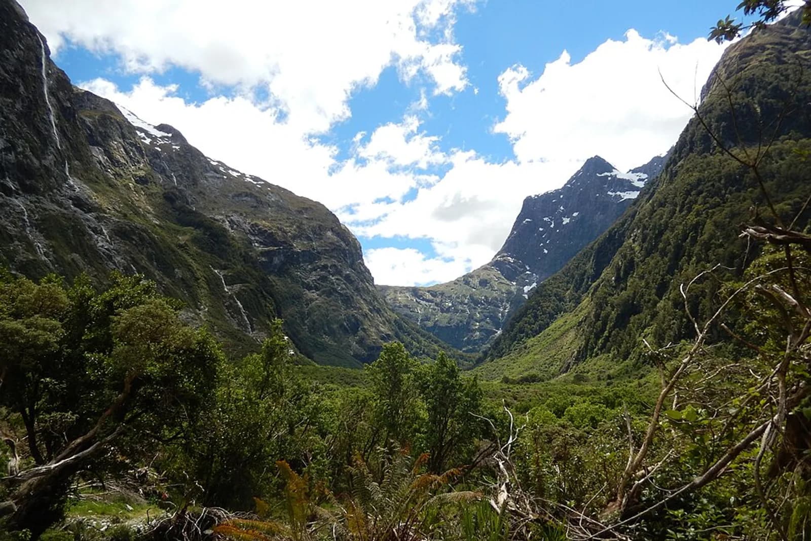 Mackinnon Pass, seen from the Milford Track near the St Quintin Falls.