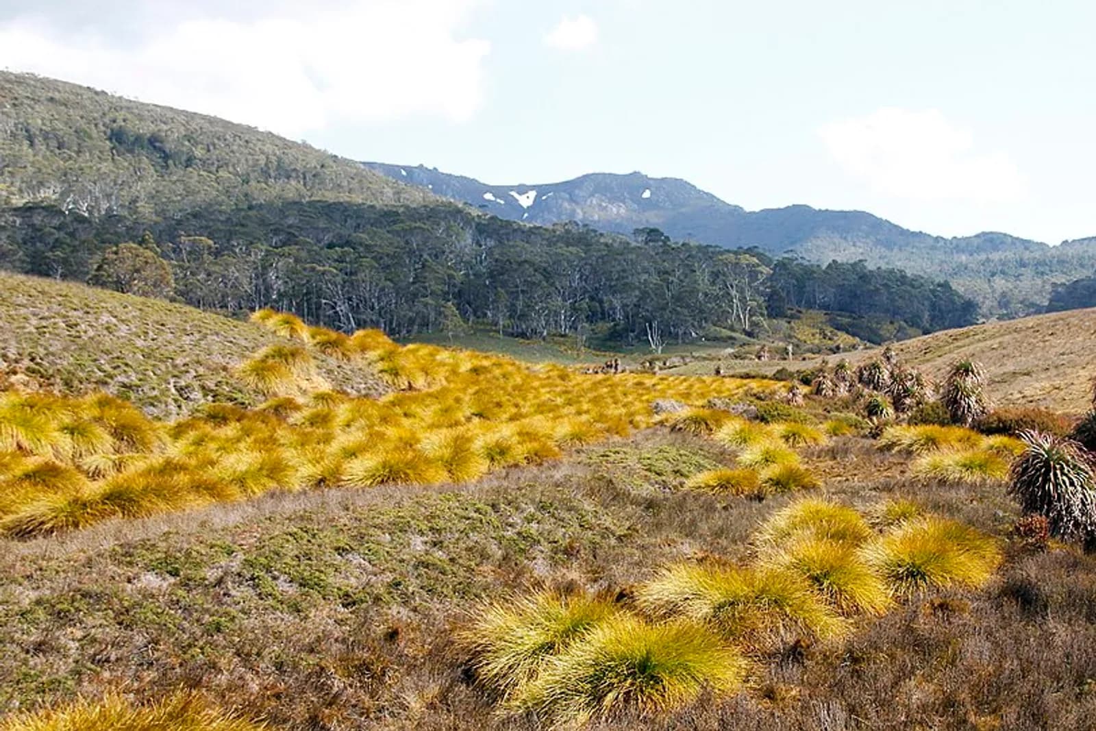 Cradle Mountain Lake St Claire National Park in Tasmania. Taken from the Overland Track