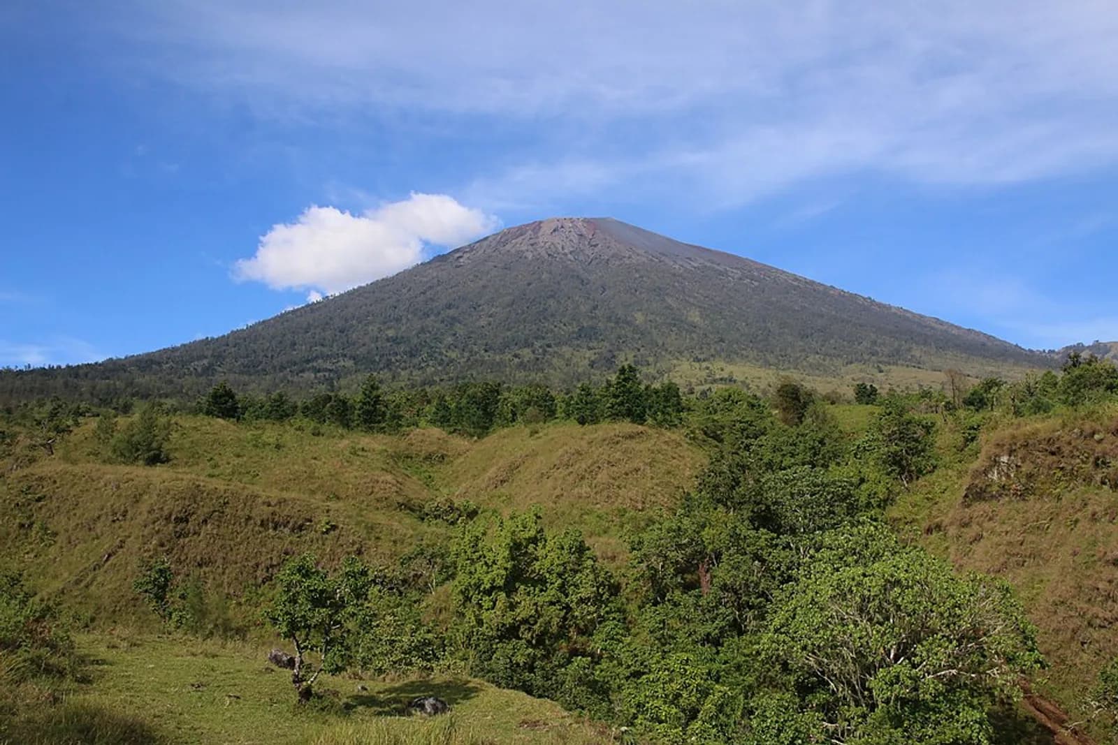 Pemandangan Puncak Gunung Rinjani dari jalur pendakian Sembalun
