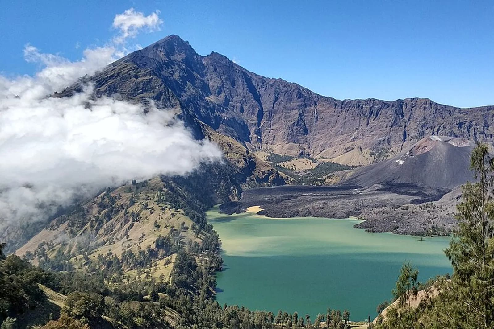 Foto ini diambil saat perjalanan menuju perjalanan pulang ke Desa Sembalun setelah 5 hari 4 malam menapaki Gunung Rinjani.