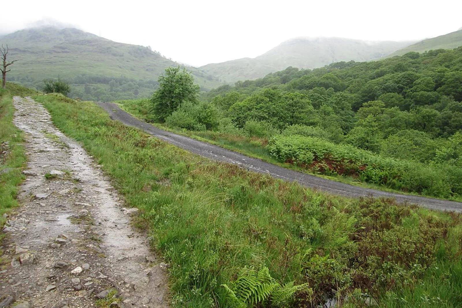 West Highland Way, Glen Falloch