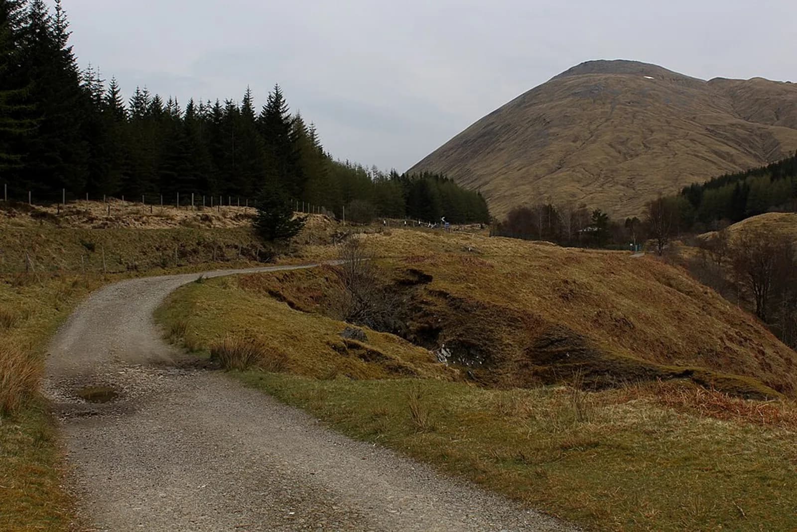 West Highland Way North of Tyndrum